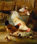 unknow artist Poultry 091 France oil painting artist